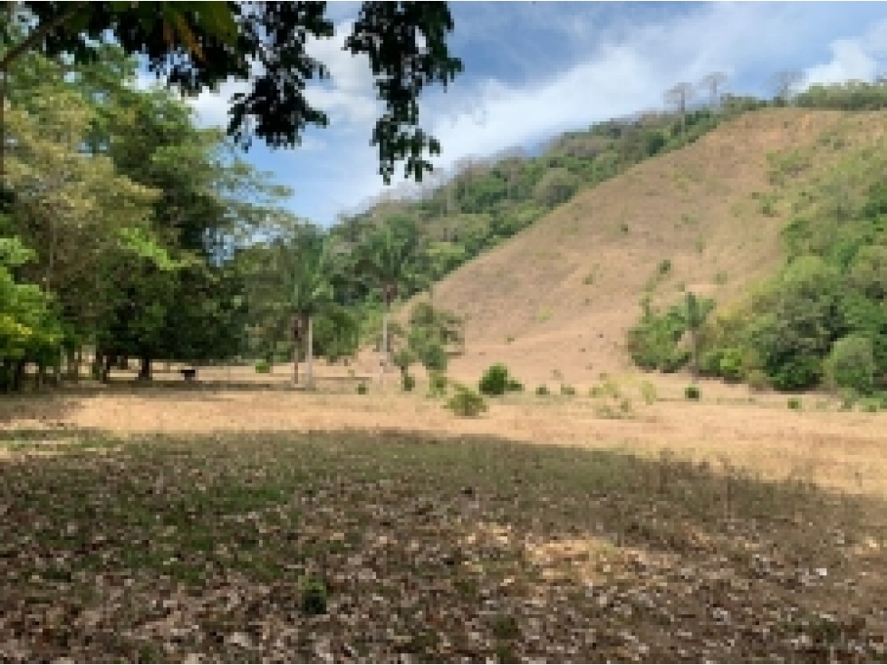 Se Vende 347 Hectareas Frente a Playa en Cerro Hoya, Panama - 4