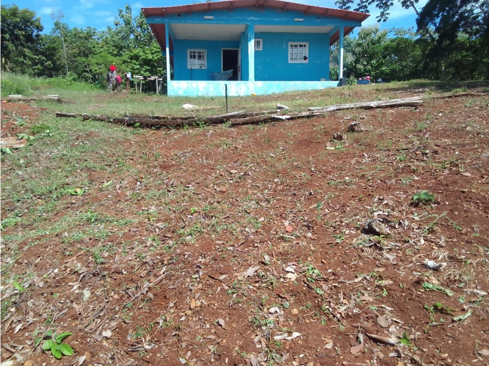 Propiedad de 55 Hectáreas en Isla Gobernadora, Veraguas, Panamá - 2