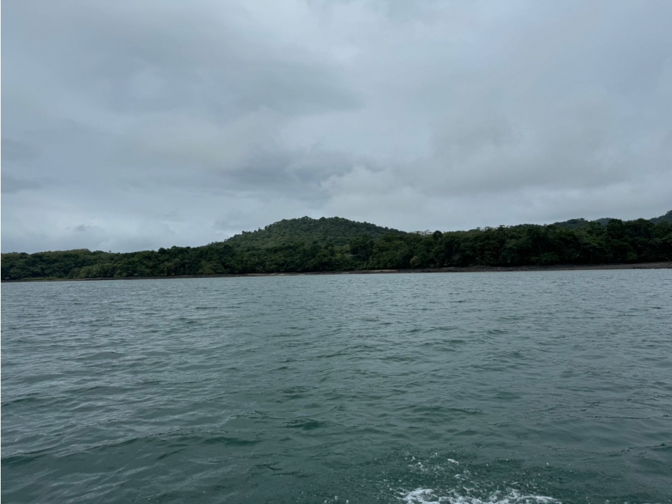 Se Venden 100 Hectáreas en Isla Gobernadora, Veraguas, Panamá - 2