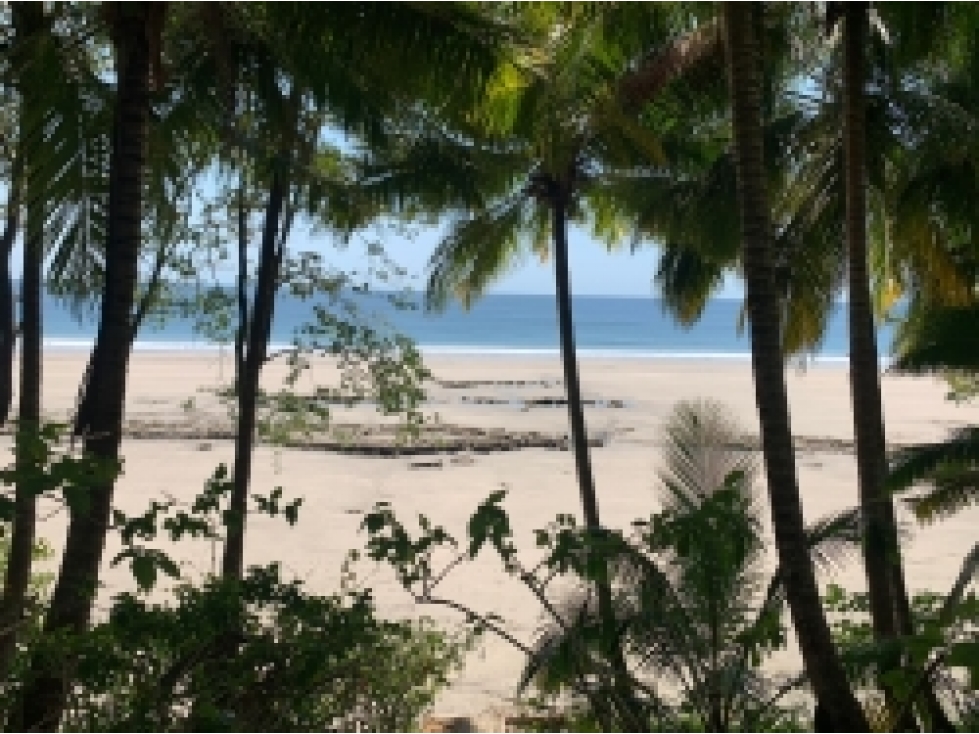 Propiedad Frente al Mar de 240 Hectáreas en Venta en Isla Cébaco - 2