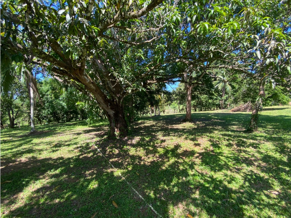 Finca en Venta 1,119 Hectáreas Cerca de Soná, Veraguas, Panamá - 3