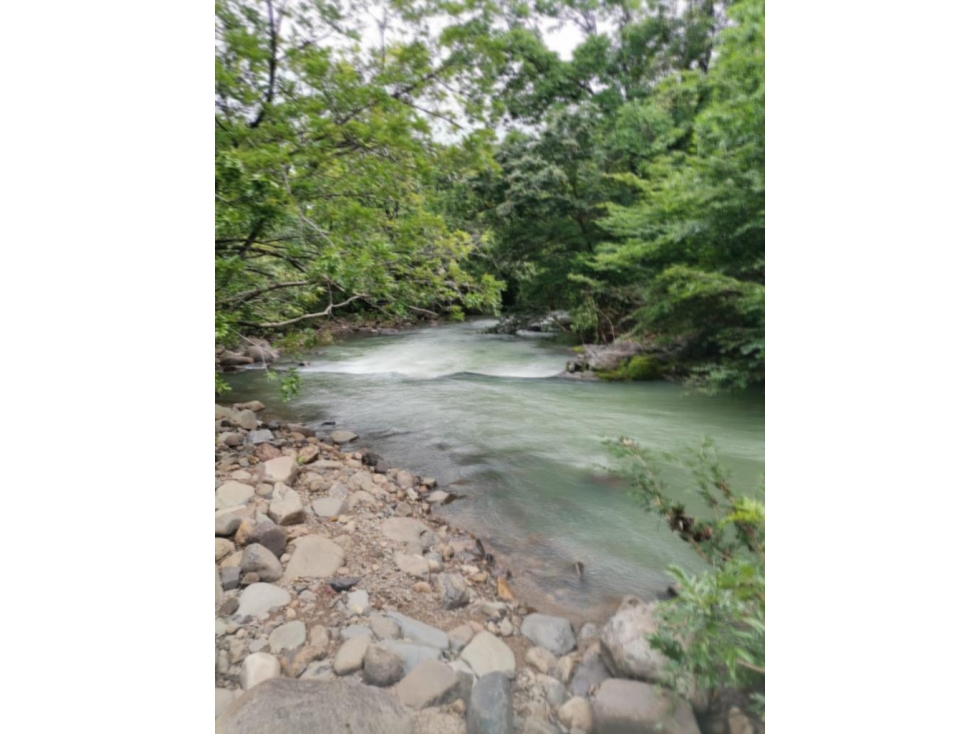 FINCA DE 39 HECTÁREAS CON RÍO EN SANTA FE, VERAGUAS, PANAMÁ - 2