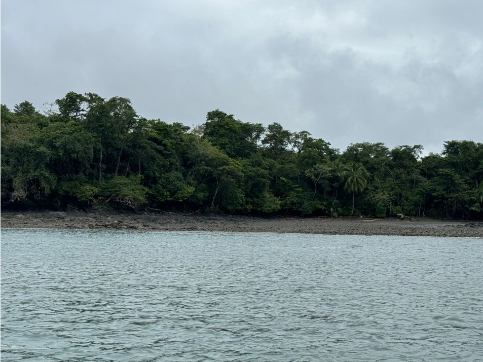 Se Venden 100 Hectáreas en Isla Gobernadora, Veraguas, Panamá - 5