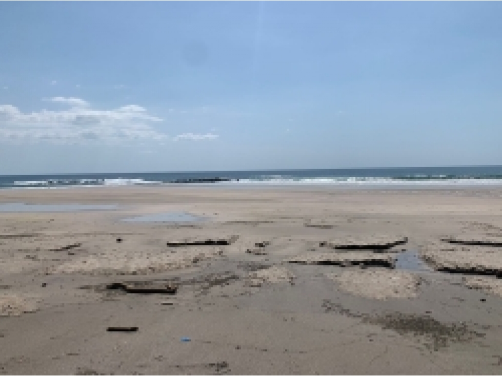 Propiedad Frente al Mar de 240 Hectáreas en Venta en Isla Cébaco - 3