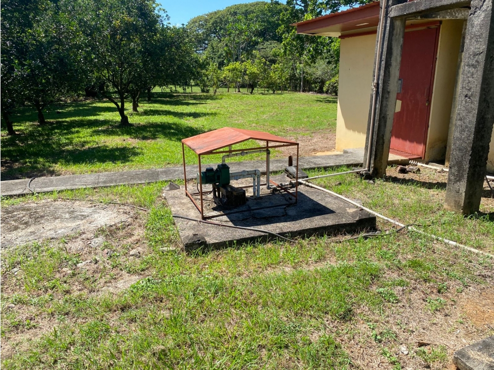 Finca en Venta 1,119 Hectáreas Cerca de Soná, Veraguas, Panamá - 5