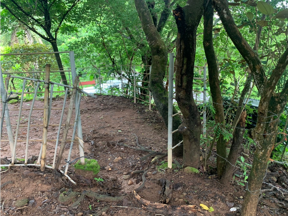 FINCA DE 39 HECTÁREAS CON RÍO EN SANTA FE, VERAGUAS, PANAMÁ - 3