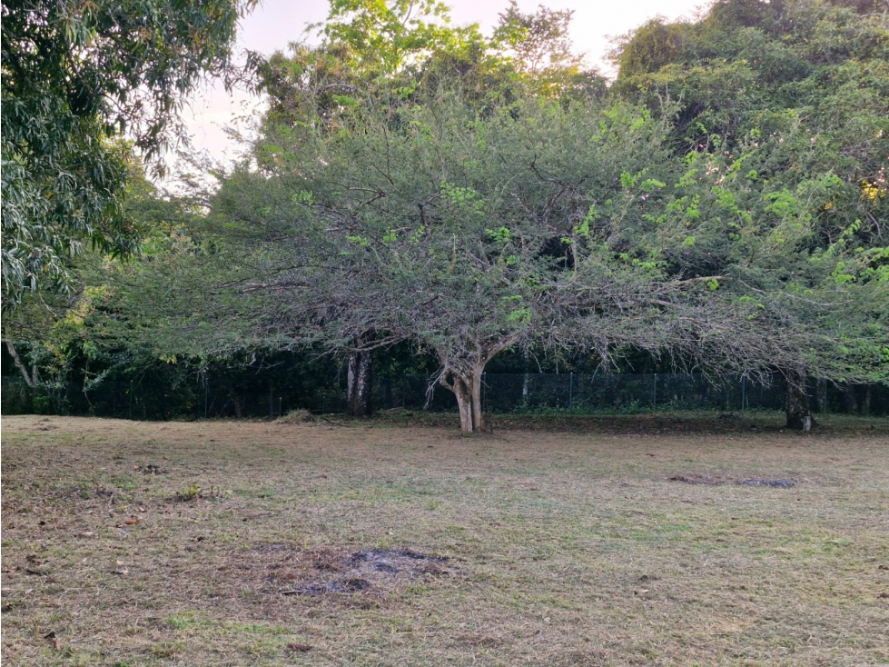 Propiedad Frente al Río Camino a El Valle de Antón 4,300 m² - 4