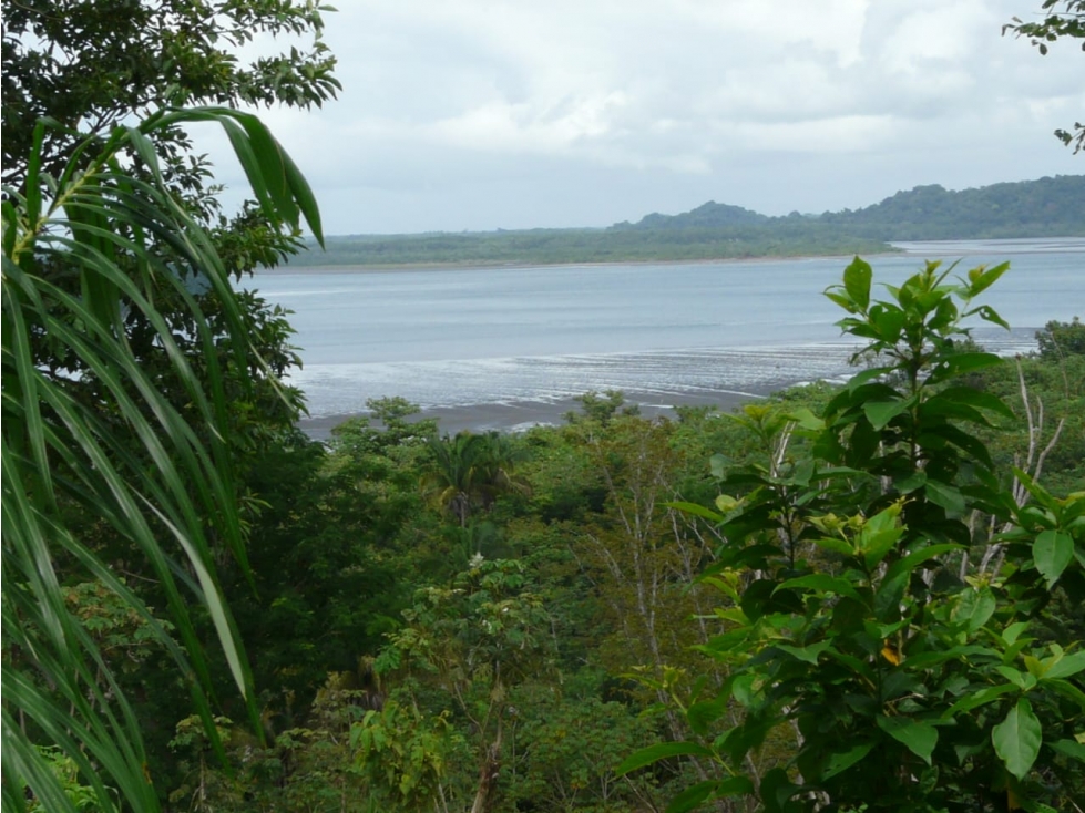 ISLA BOCA BRAVA 122 Hectáreas 3.8 km de Frente al Mar y Playa - 2