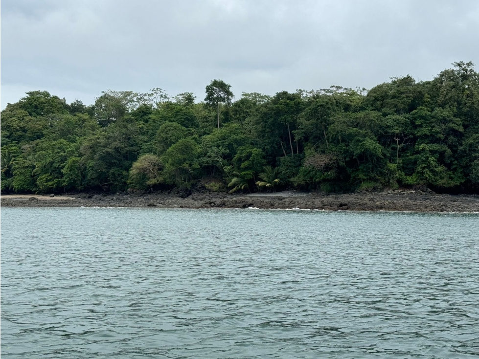 Se Venden 100 Hectáreas en Isla Gobernadora, Veraguas, Panamá - 6