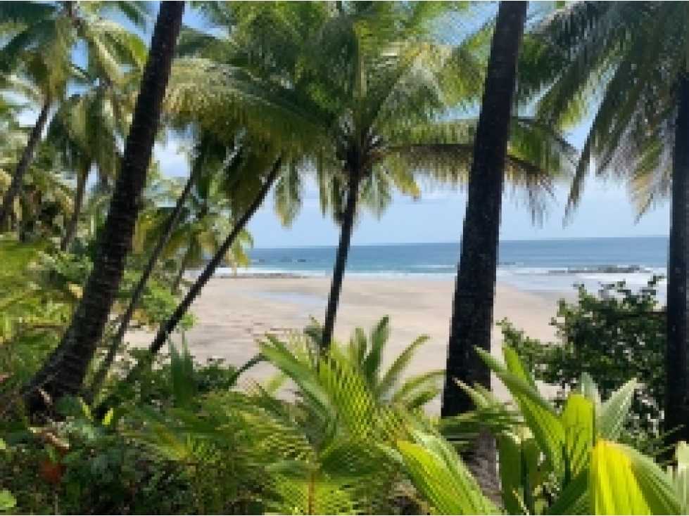 Propiedad Frente al Mar de 240 Hectáreas en Venta en Isla Cébaco - 4