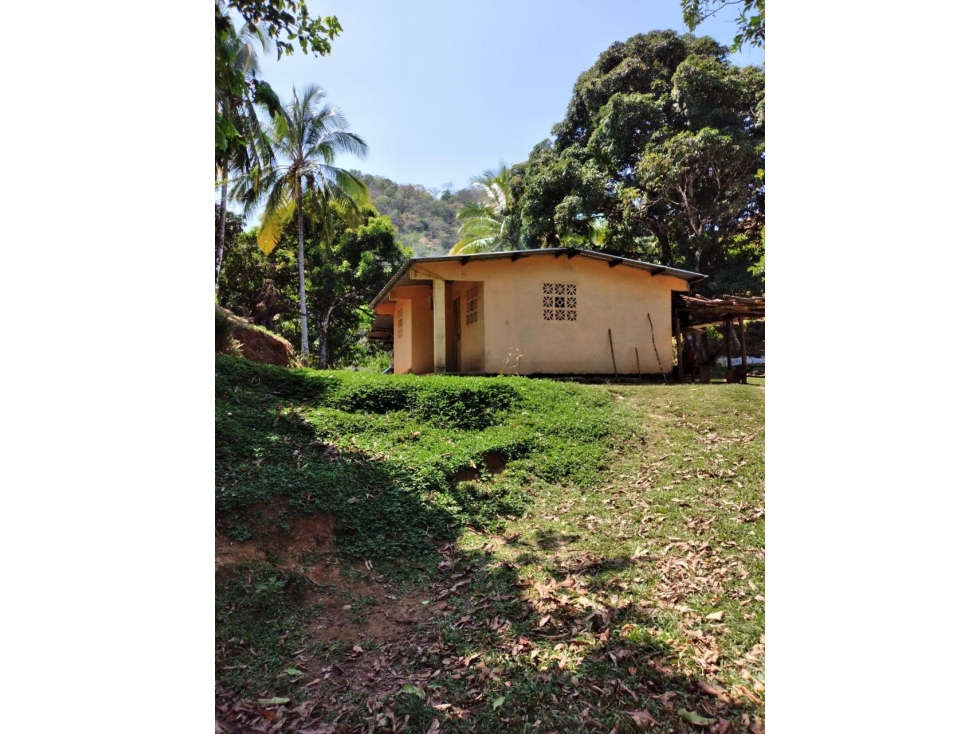Finca en Venta 282 Hectáreas Colindantes con Cerro Hoya, Veraguas - 4