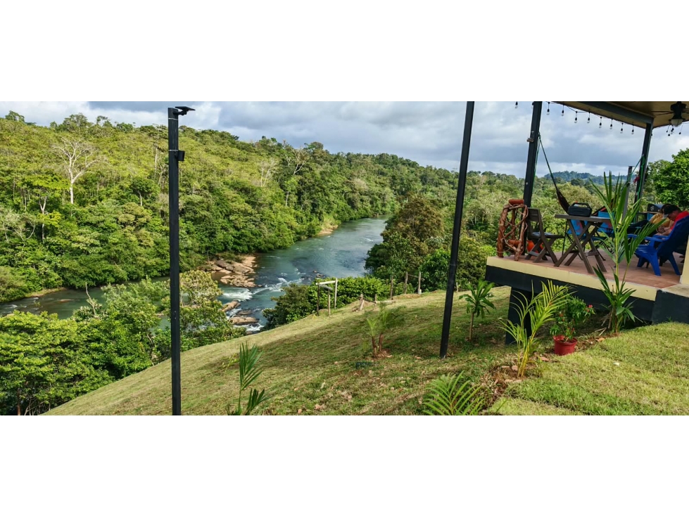 FINCA DE 100 HECTÁREAS EN VENTA EN PASO REAL, PENONOMÉ, PANAMÁ — foto 4