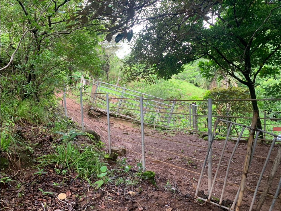 FINCA DE 39 HECTÁREAS CON RÍO EN SANTA FE, VERAGUAS, PANAMÁ - 4