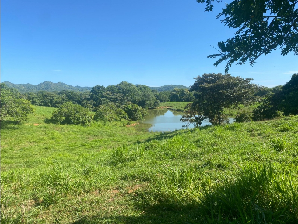 Finca en Venta 1,119 Hectáreas Cerca de Soná, Veraguas, Panamá - 1
