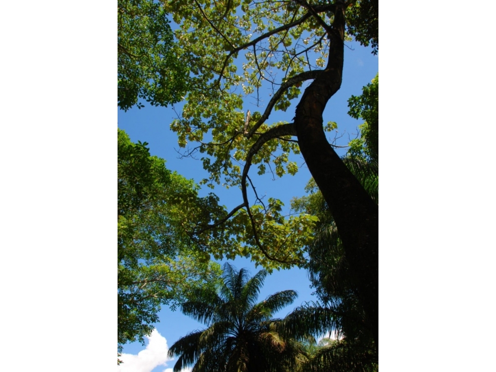 Hermosa Isla Privada en Venta Cerca de Isla Cébaco, Veraguas, Panamá - 5