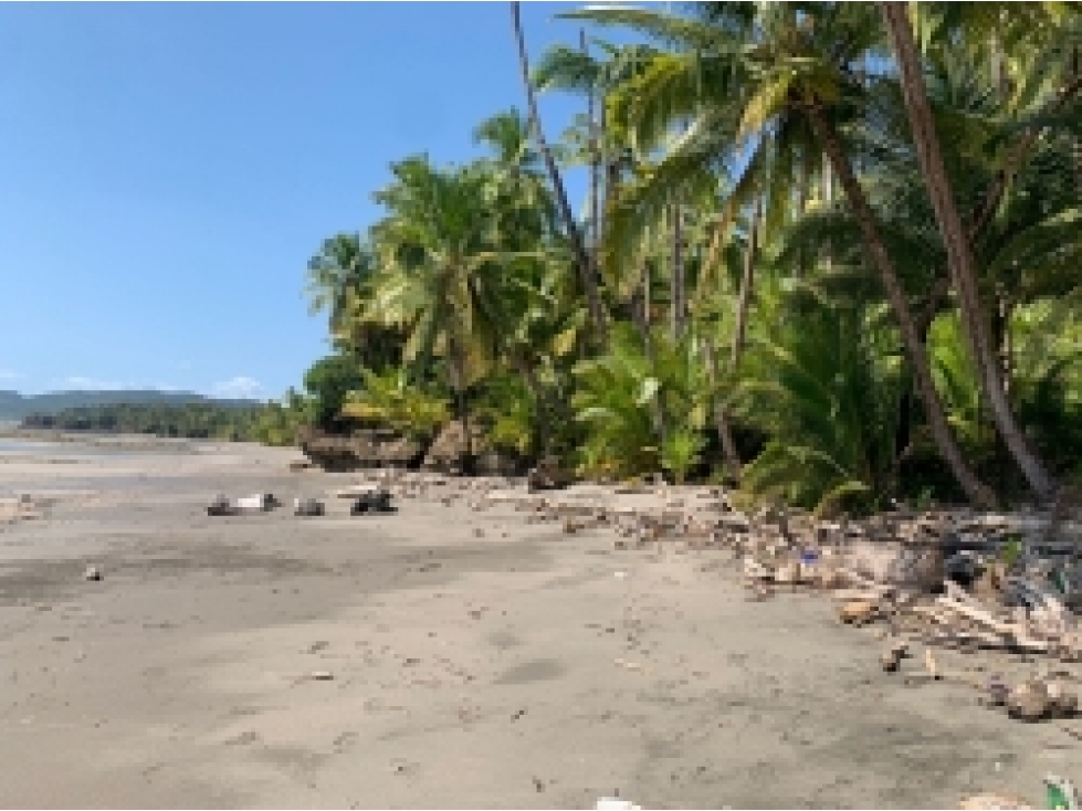 Propiedad Frente al Mar de 240 Hectáreas en Venta en Isla Cébaco - 5