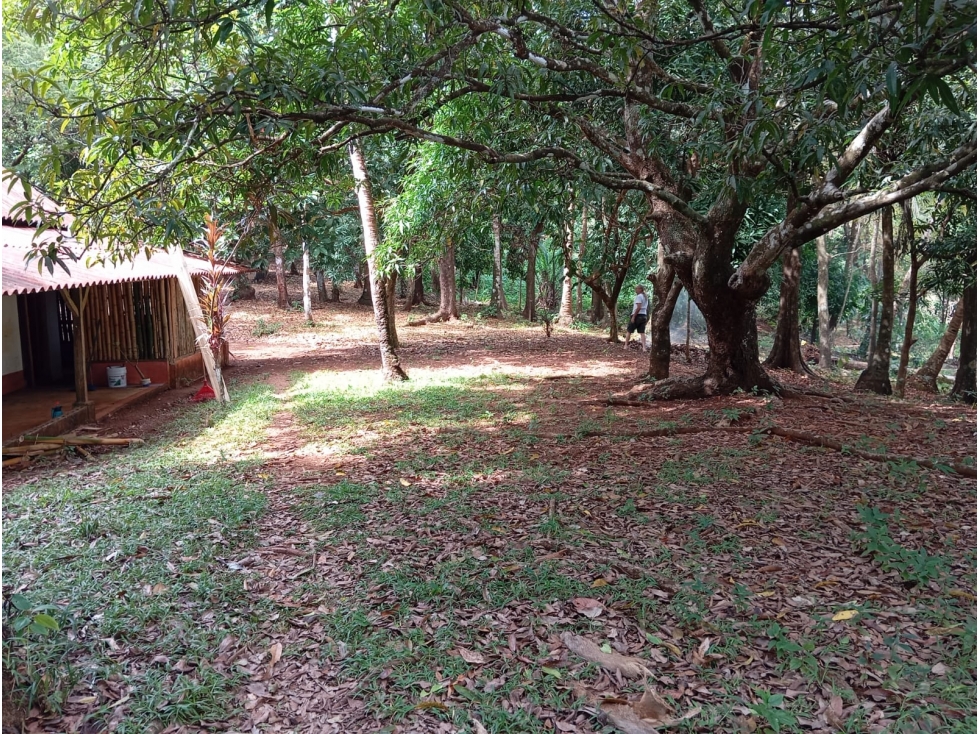 Propiedad Frente al Mar en Venta en Isla Gobernadora, Veraguas, Panamá - 5