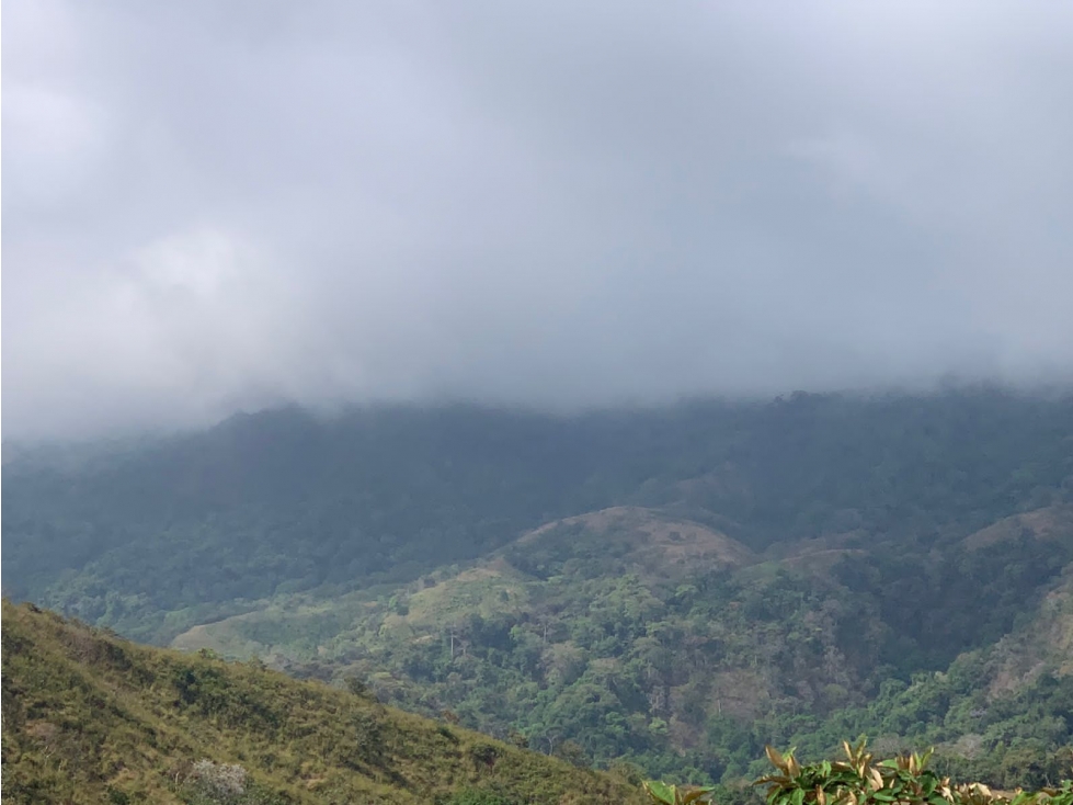 Finca en Venta 282 Hectáreas Colindantes con Cerro Hoya, Veraguas - 5