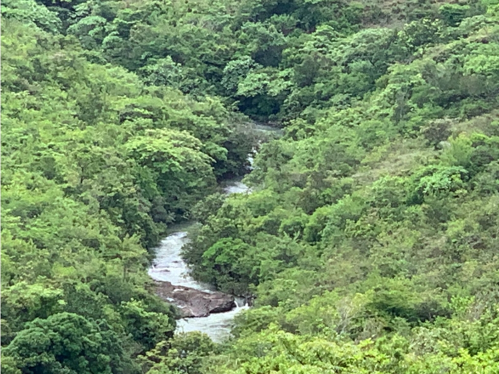 FINCA DE 39 HECTÁREAS CON RÍO EN SANTA FE, VERAGUAS, PANAMÁ - 5
