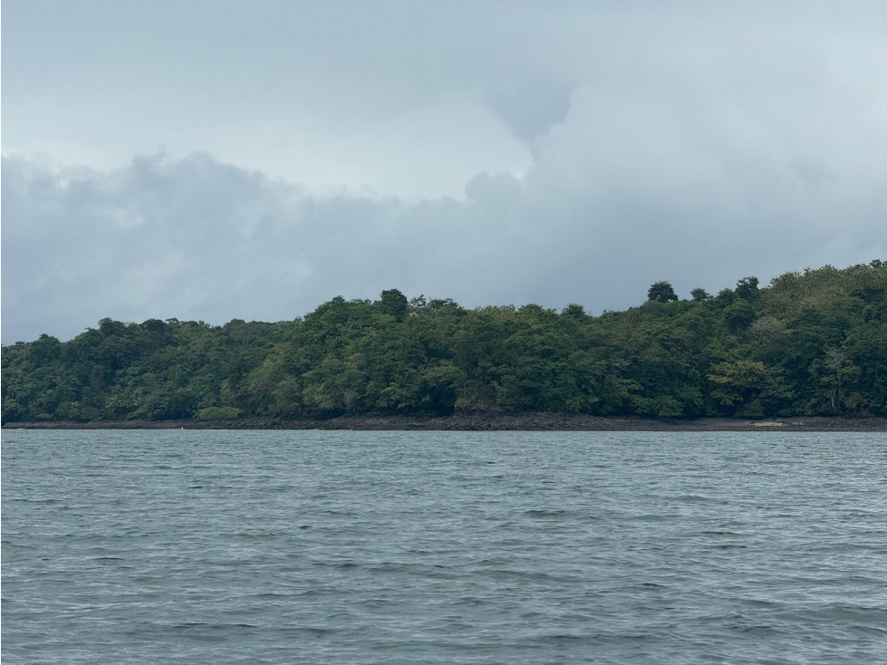 Se Venden 100 Hectáreas en Isla Gobernadora, Veraguas, Panamá - 3