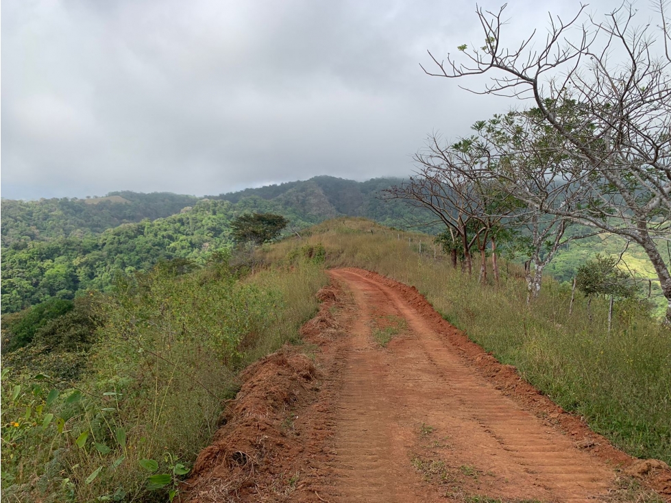 Finca en Venta 282 Hectáreas Colindantes con Cerro Hoya, Veraguas - 6