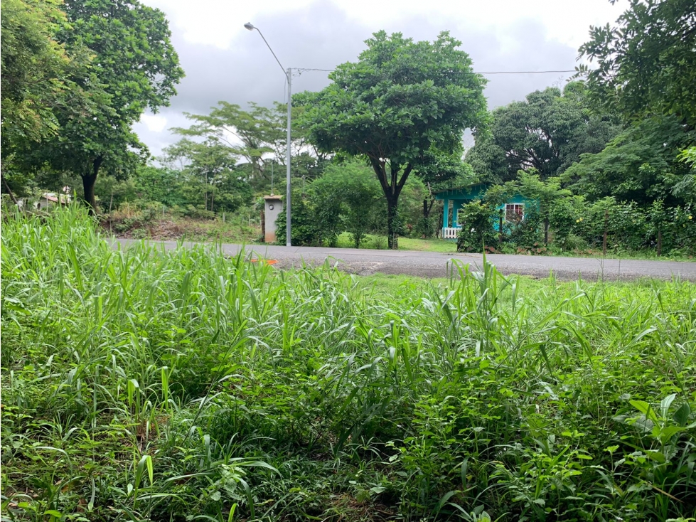 FINCA DE 39 HECTÁREAS CON RÍO EN SANTA FE, VERAGUAS, PANAMÁ - 6