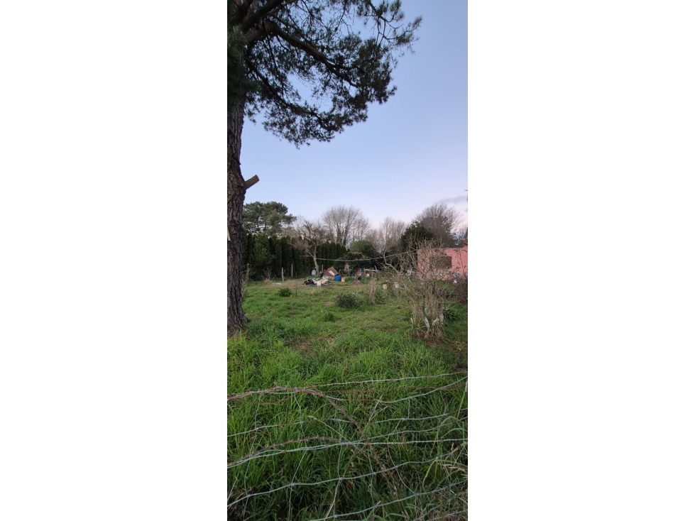 VENTA DE CASA con gran LOTE- Calle 10 y 5 - ESTACIÓN CAMET. - 4