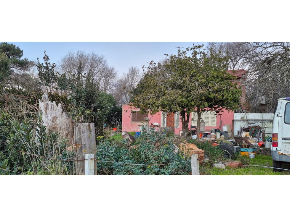 VENTA DE CASA con gran LOTE- Calle 10 y 5 - ESTACIÓN CAMET. - 5
