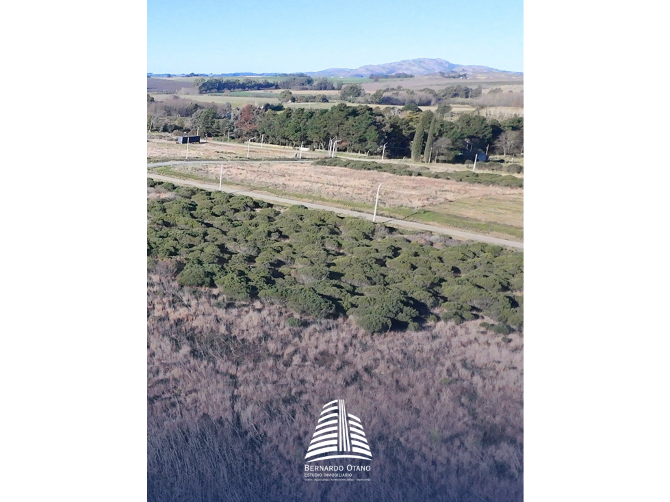 Lotes en venta - Zona Paraiso - 2