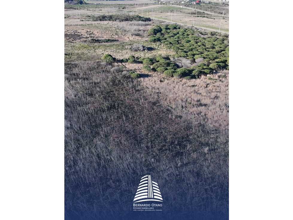 Lotes en venta - Zona Paraiso - 3