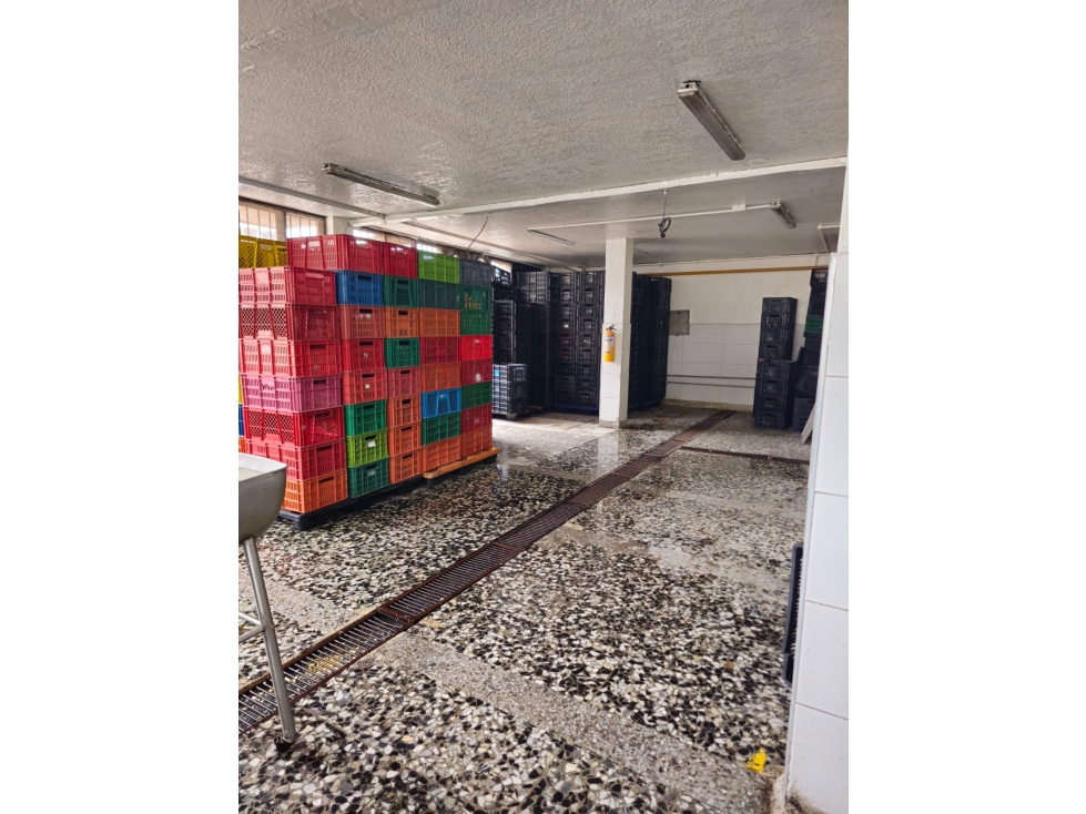 BODEGA LA FRANCIA - 3