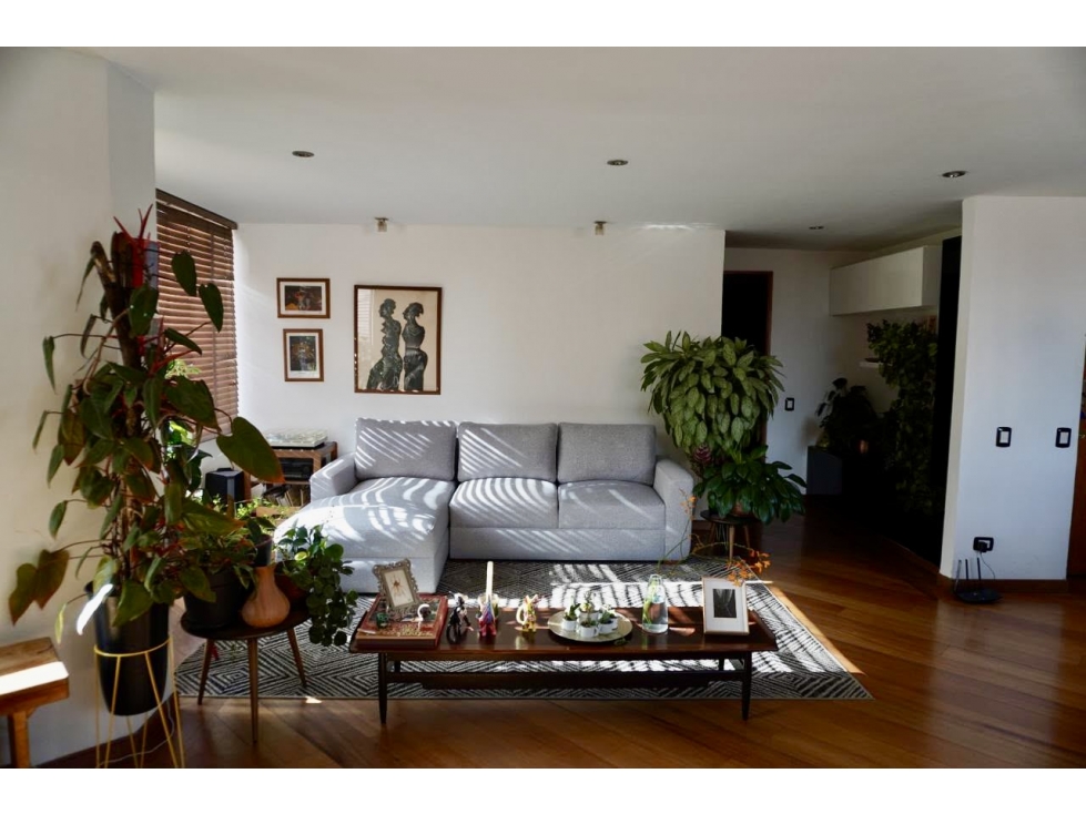 Apartamento en arriendo en Rosales bajo