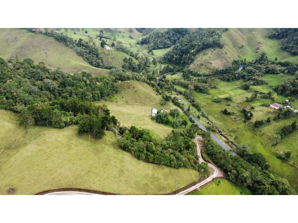 FINCA UBICADA ENTRE LA CEJA Y ABEJORRAL ANTIOQUIA - 2