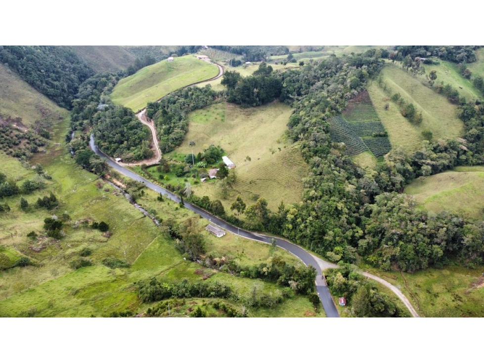 FINCA UBICADA ENTRE LA CEJA Y ABEJORRAL ANTIOQUIA - 4