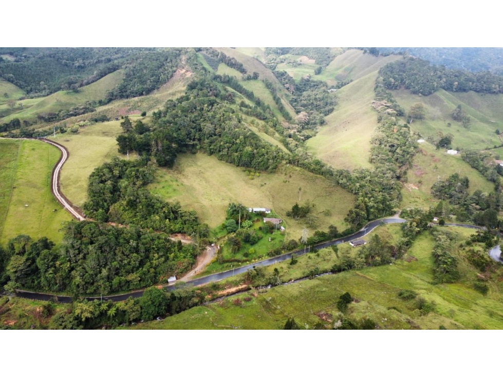 FINCA UBICADA ENTRE LA CEJA Y ABEJORRAL ANTIOQUIA - 5