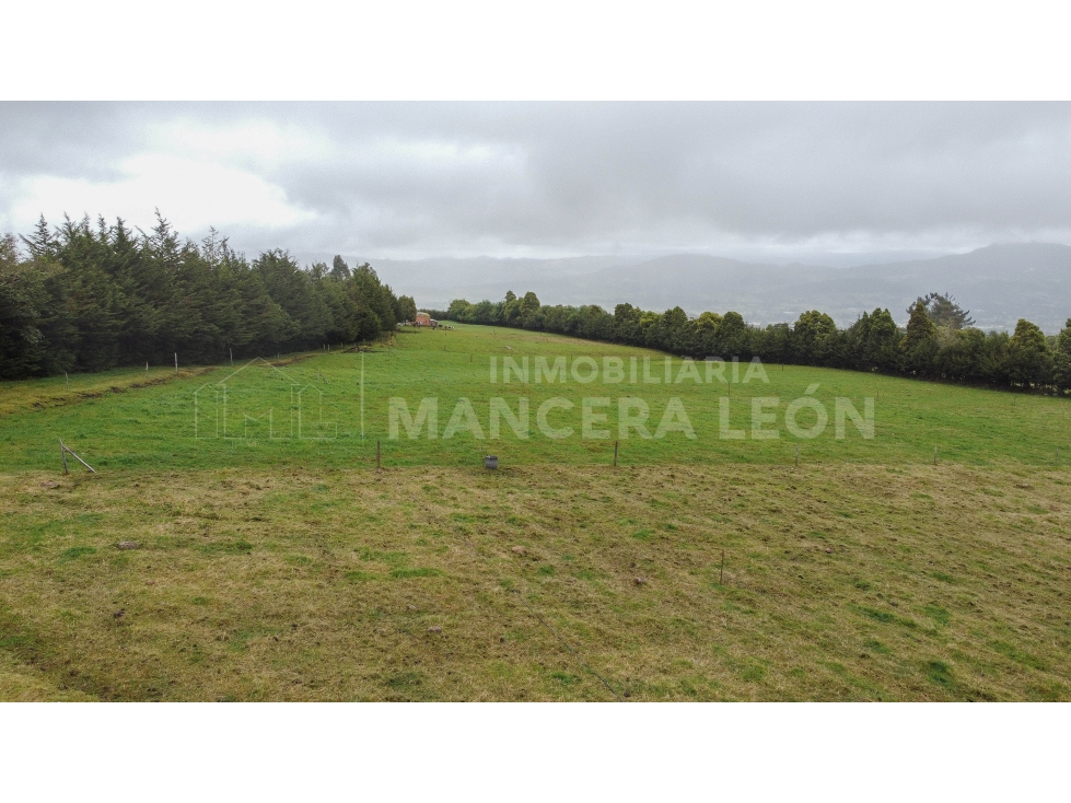 EN VENTA | FINCA EN GUASCA | TIERRA PRODUCTIVA - 2
