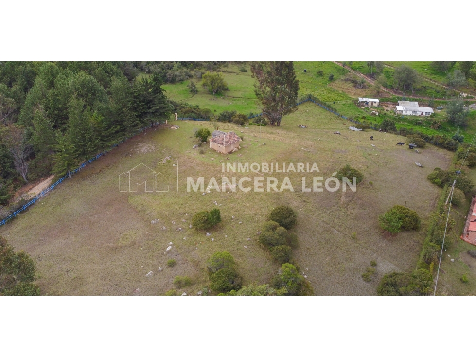 EN VENTA I FINCA 2,1 HAS. CON VISTA AL EMBALSE DE TOMINÉ - 4