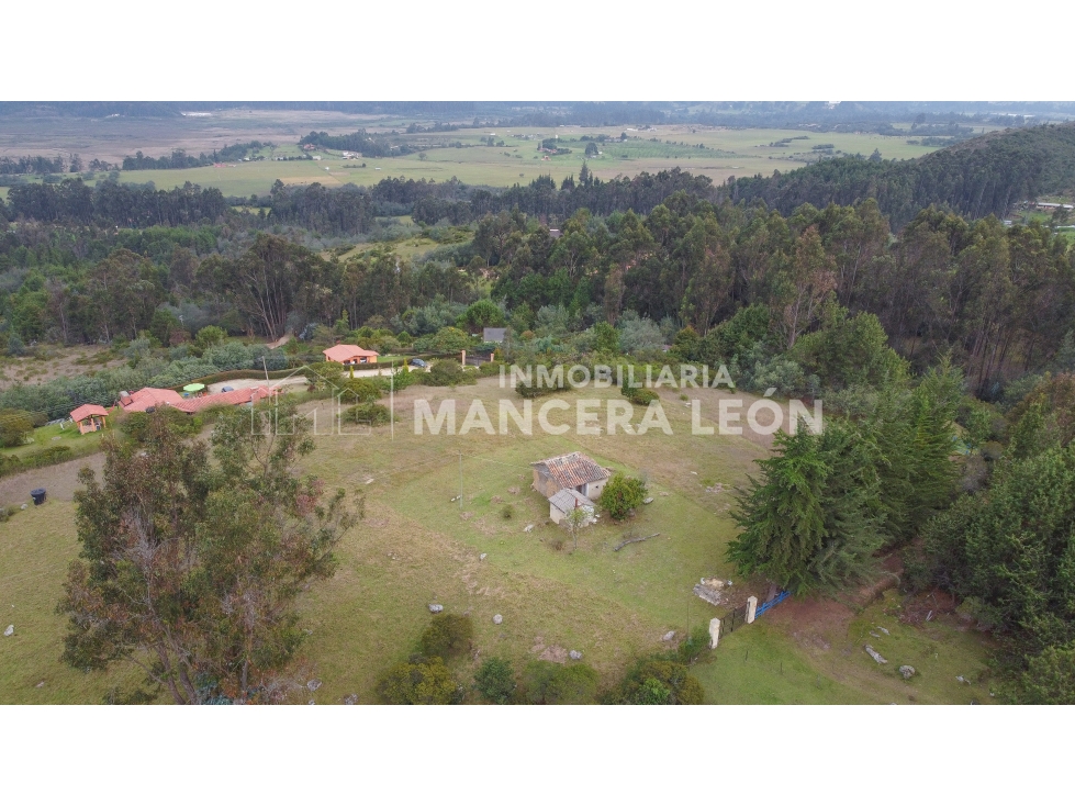 EN VENTA I FINCA 2,1 HAS. CON VISTA AL EMBALSE DE TOMINÉ - 6
