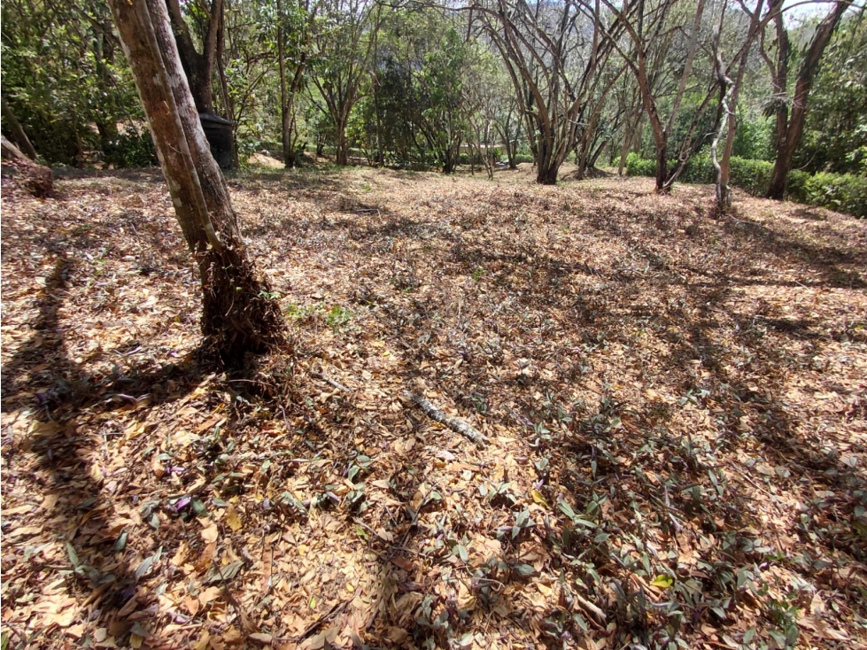 ¡LOTE EXCLUSIVO DE 6.000 m² EN VILLETA! - 4
