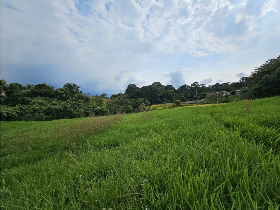 ¡Espectacular lote campestre de 10.000 mÂ² en condominio! - 2