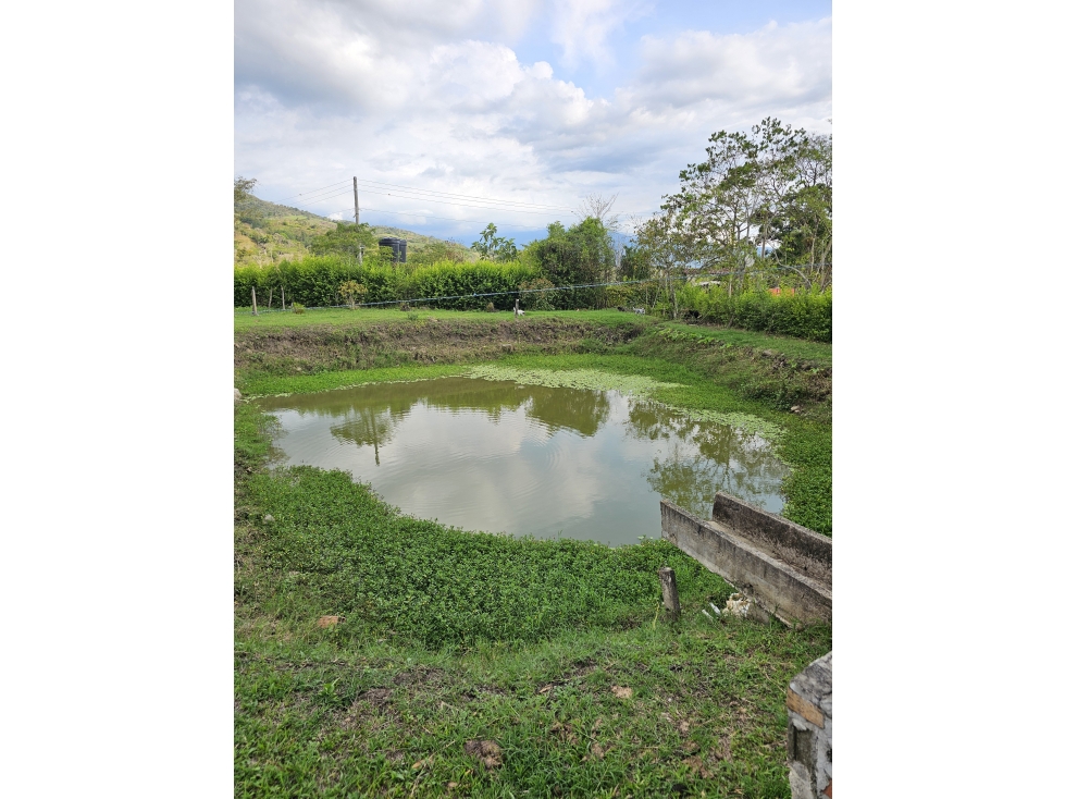 ¡Hermosa finca campestre en venta en la vereda Cune, Villeta! - 5