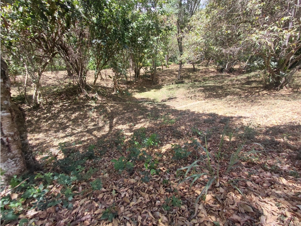 ¡LOTE EXCLUSIVO DE 6.000 m² EN VILLETA! - 5
