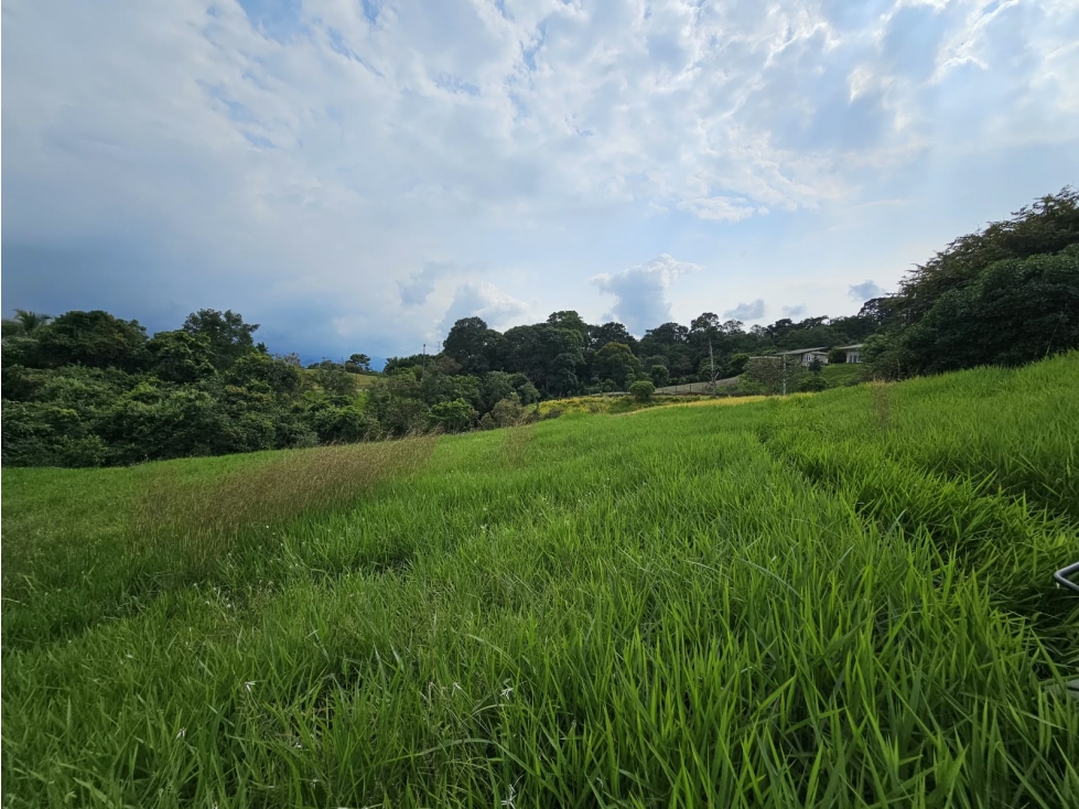 ¡Espectacular lote campestre de 10.000 mÂ² en condominio! - 4