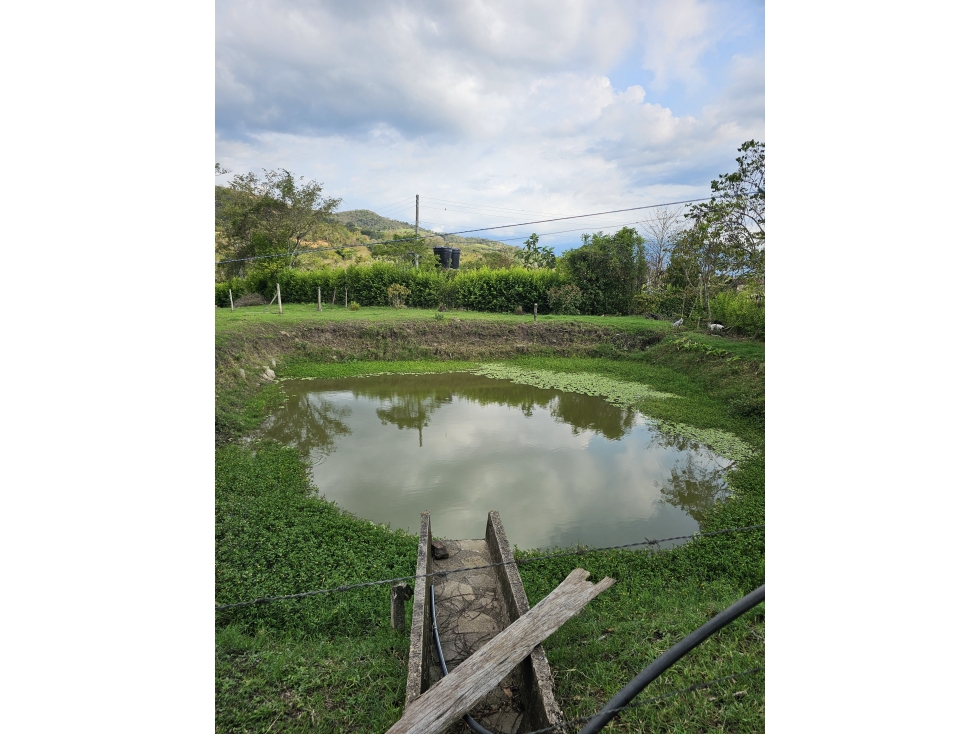 ¡Hermosa finca campestre en venta en la vereda Cune, Villeta! - 6