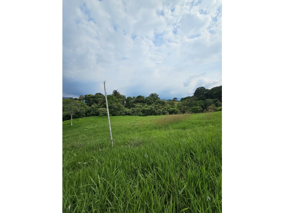¡Espectacular lote campestre de 10.000 mÂ² en condominio! - 5