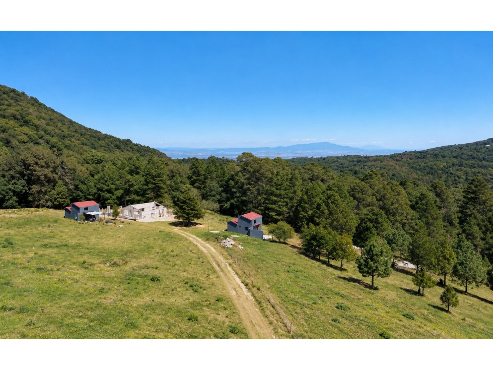 TERRENO EN VENTA - OMITLÁN — foto 2
