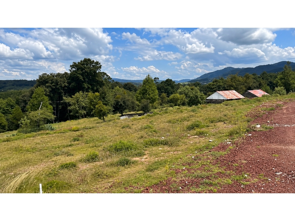 TERRENO EN VENTA - OMITLÁN — foto 4
