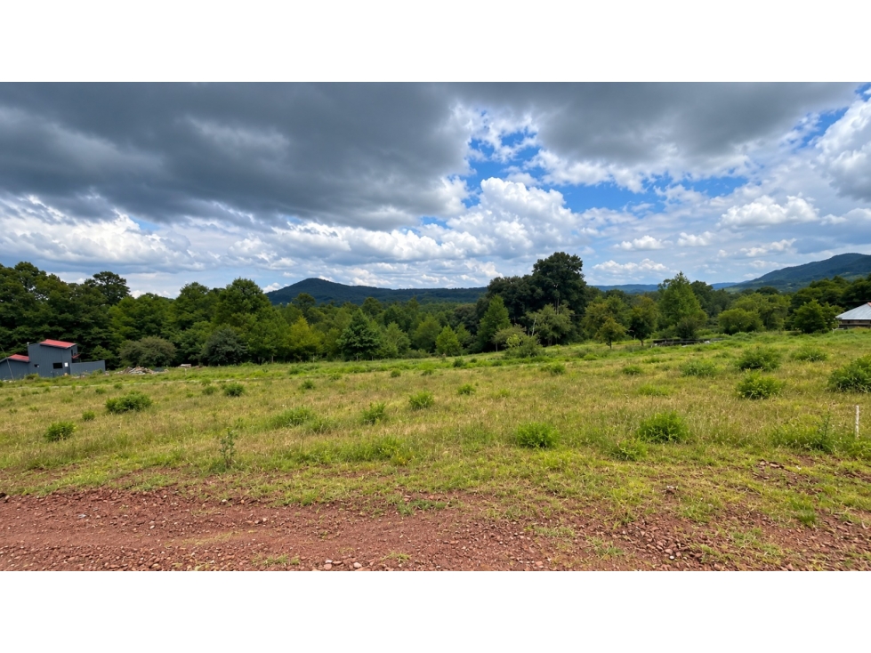 TERRENO EN VENTA - OMITLÁN — foto 5