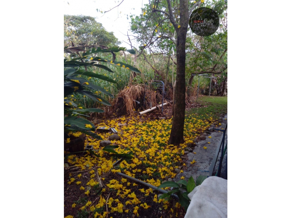 Vendo Casa en Dolega Negociable/For Sale Country House Negotiable - 2