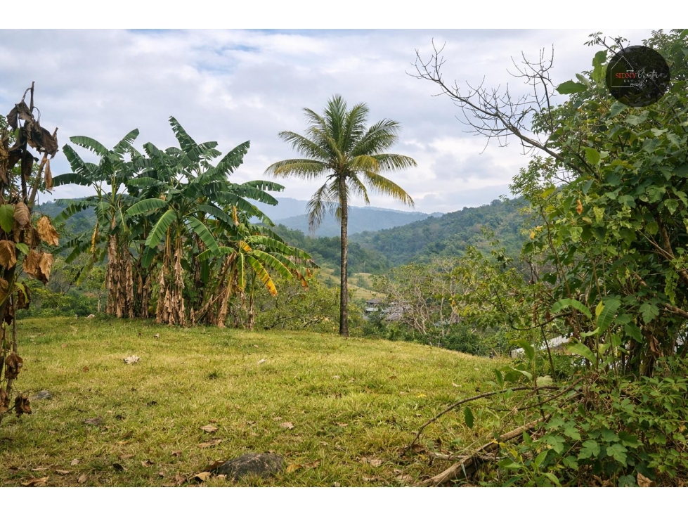 Se Vende Lote en la Vía Cerro Azul/Lot for Sale on Road to Cerro Azul - 2